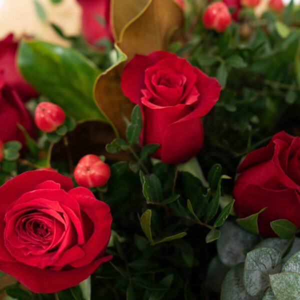 Rosas Rojas - Imagen 3