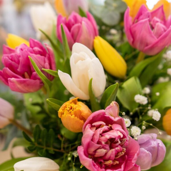 Tulipanes - Imagen 2
