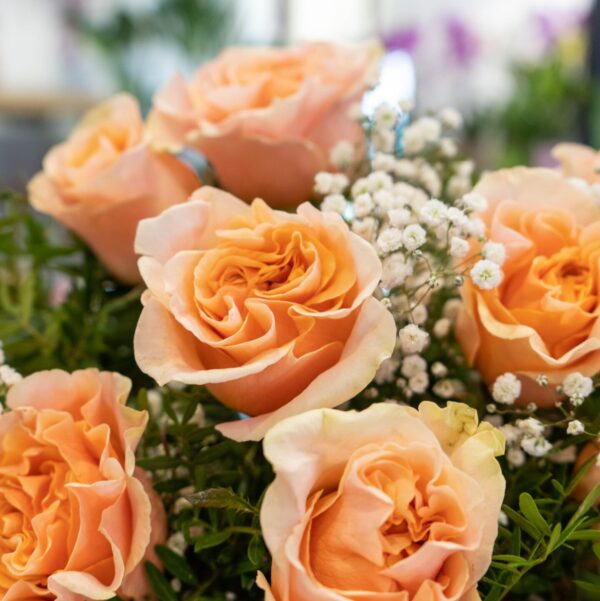 Rosas Color Melocotón - Imagen 3
