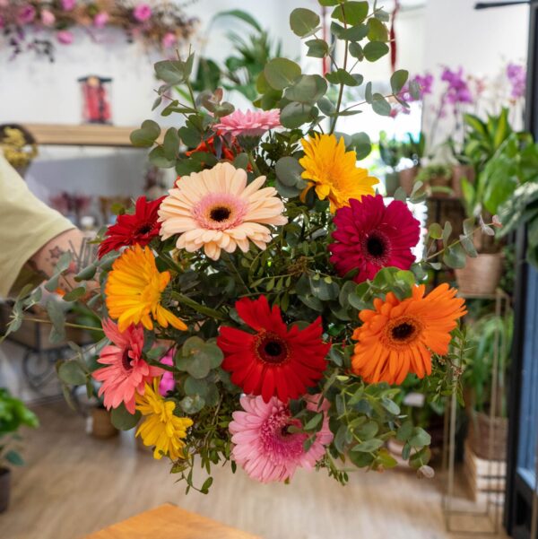 Gerberas - Imagen 2