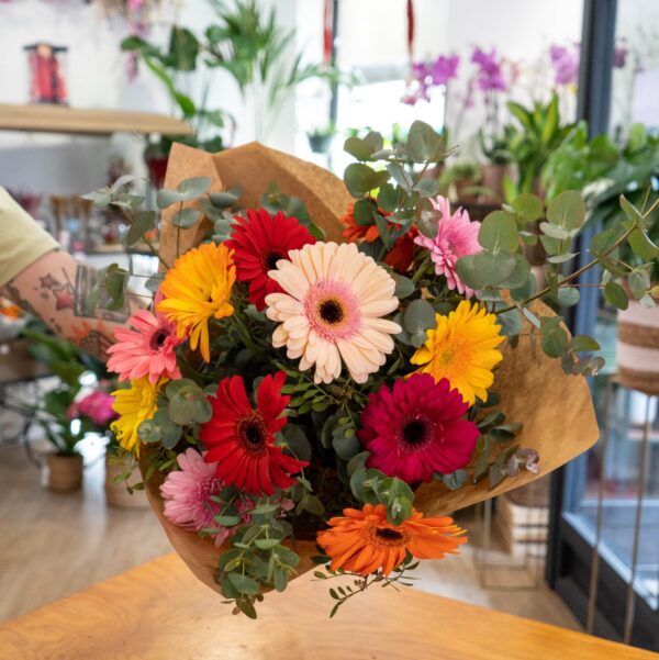 Gerberas - Imagen 4