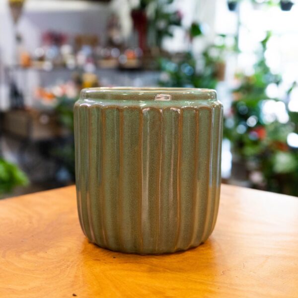 Maceta de cerámica verde con textura vertical, ideal para plantas como orquídeas.
