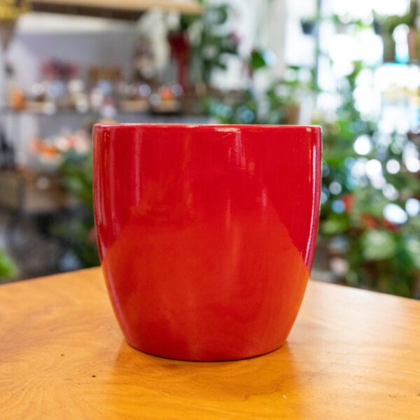 Maceta decorativa roja brillante ideal para orquídeas u otras plantas de interior.